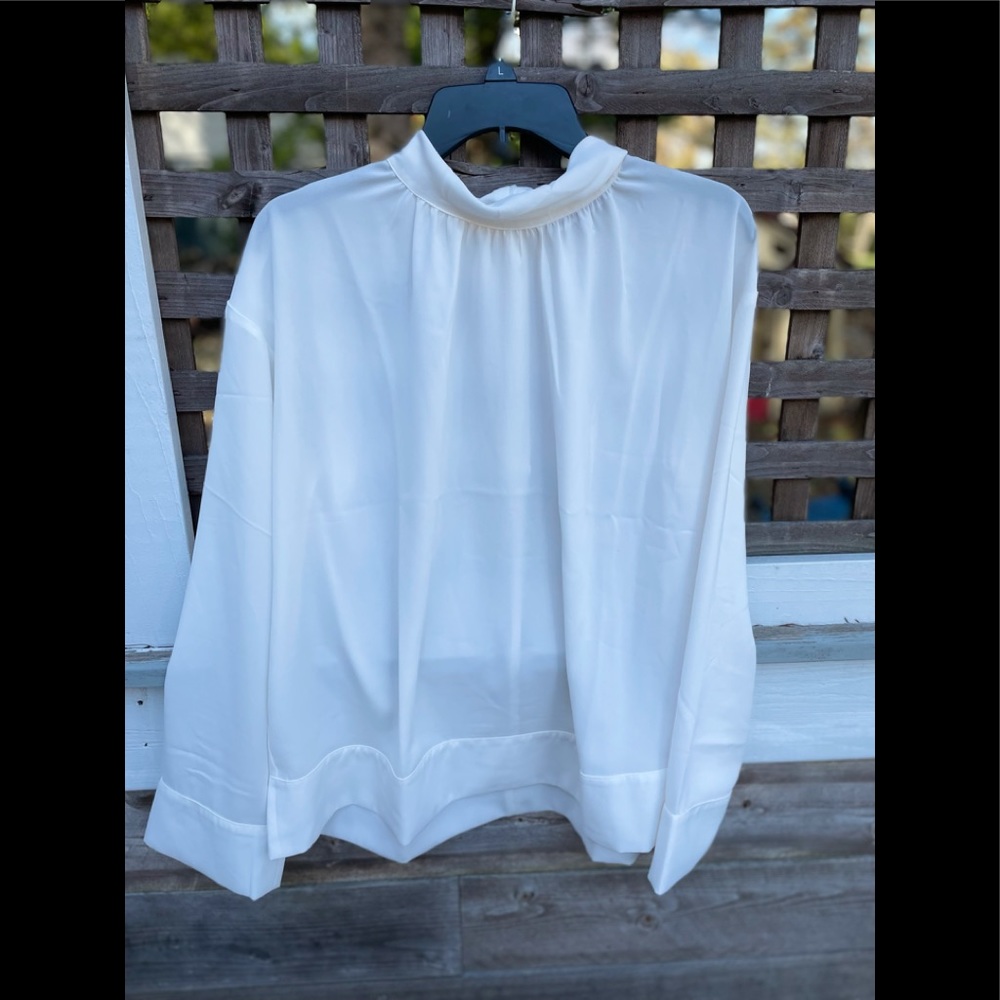Elizabeth & James Womens Sheer Ivory Mock Neck Blouse Shirred Front Wide Cuff-L